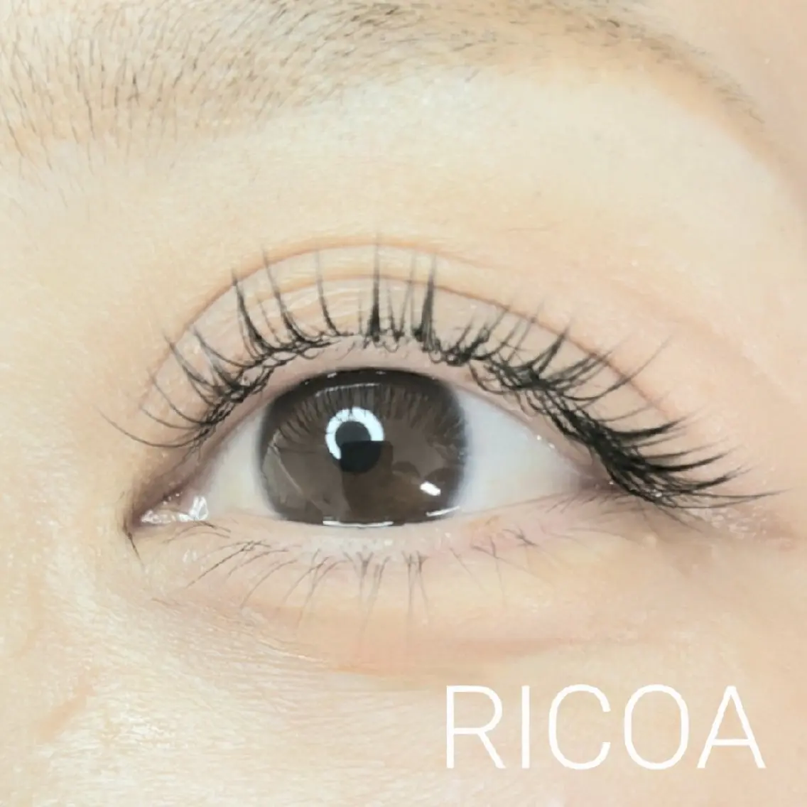 マツエク・マツパ フラットラッシュ ナチュラル マツエク RICOA 酒井のマツエク・マツパデザイン