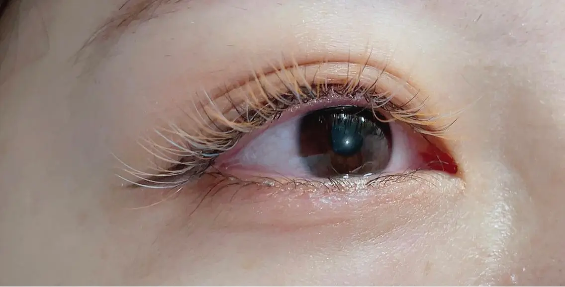 マツエク・マツパ カラーマツエク Eyelash ＊Freakのマツエク・マツパデザイン