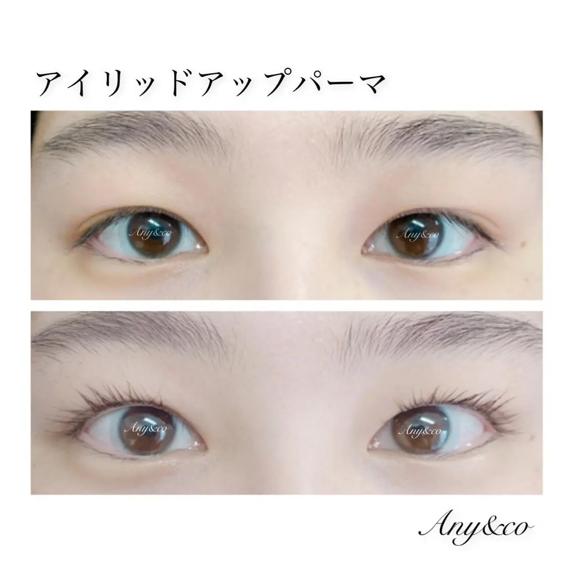 マツエク・マツパ アイリッドアップパーマ Any&co 【エニコ】のマツエク・マツパデザイン