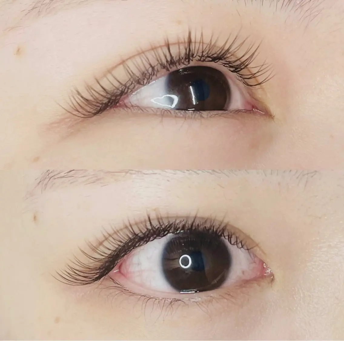 マツエク・マツパ マツエク julk eyeのマツエク・マツパデザイン