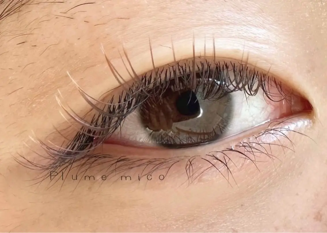 マツエク・マツパ マツエク Plume micoのマツエク・マツパデザイン