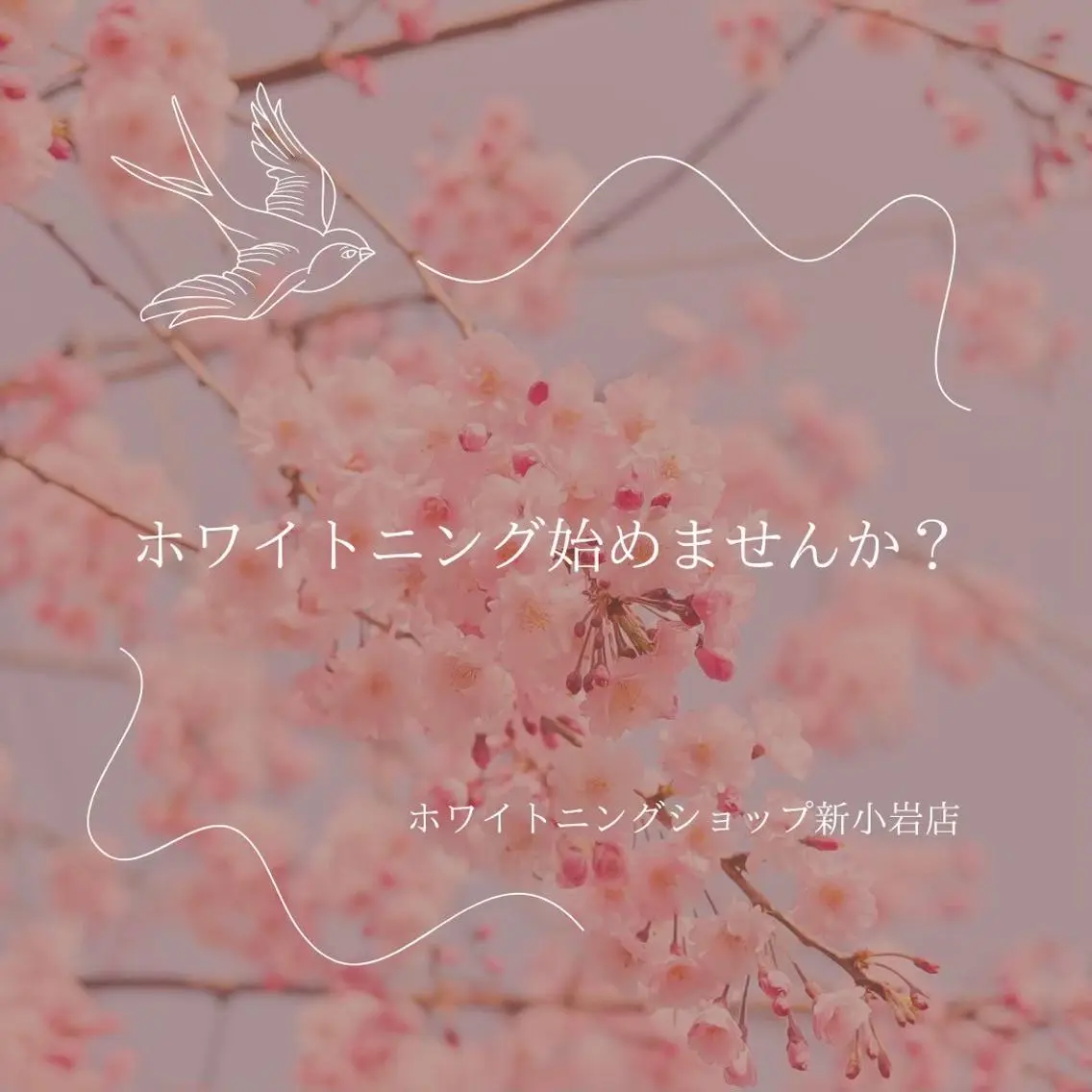 メンズ その他 ホワイトニング ショップ新小岩店のその他イメージ
