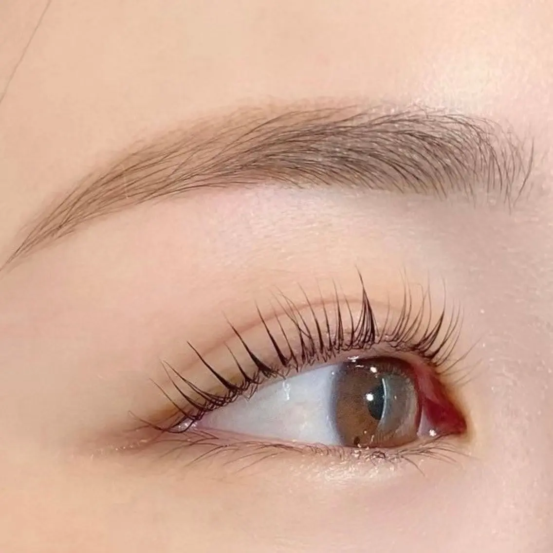 ✂︎✨眉カット⚠︎女性限定の写真