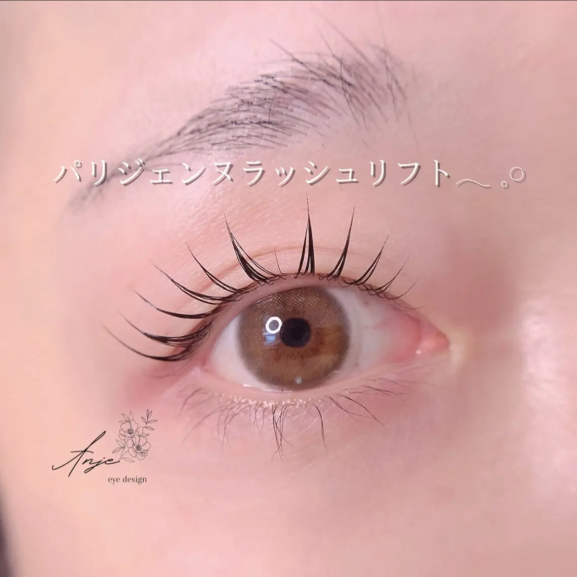 マツエク・マツパ パリジェンヌラッシュリフト 𝐀𝐧𝐣𝐞 𓆸のマツエク・マツパデザイン