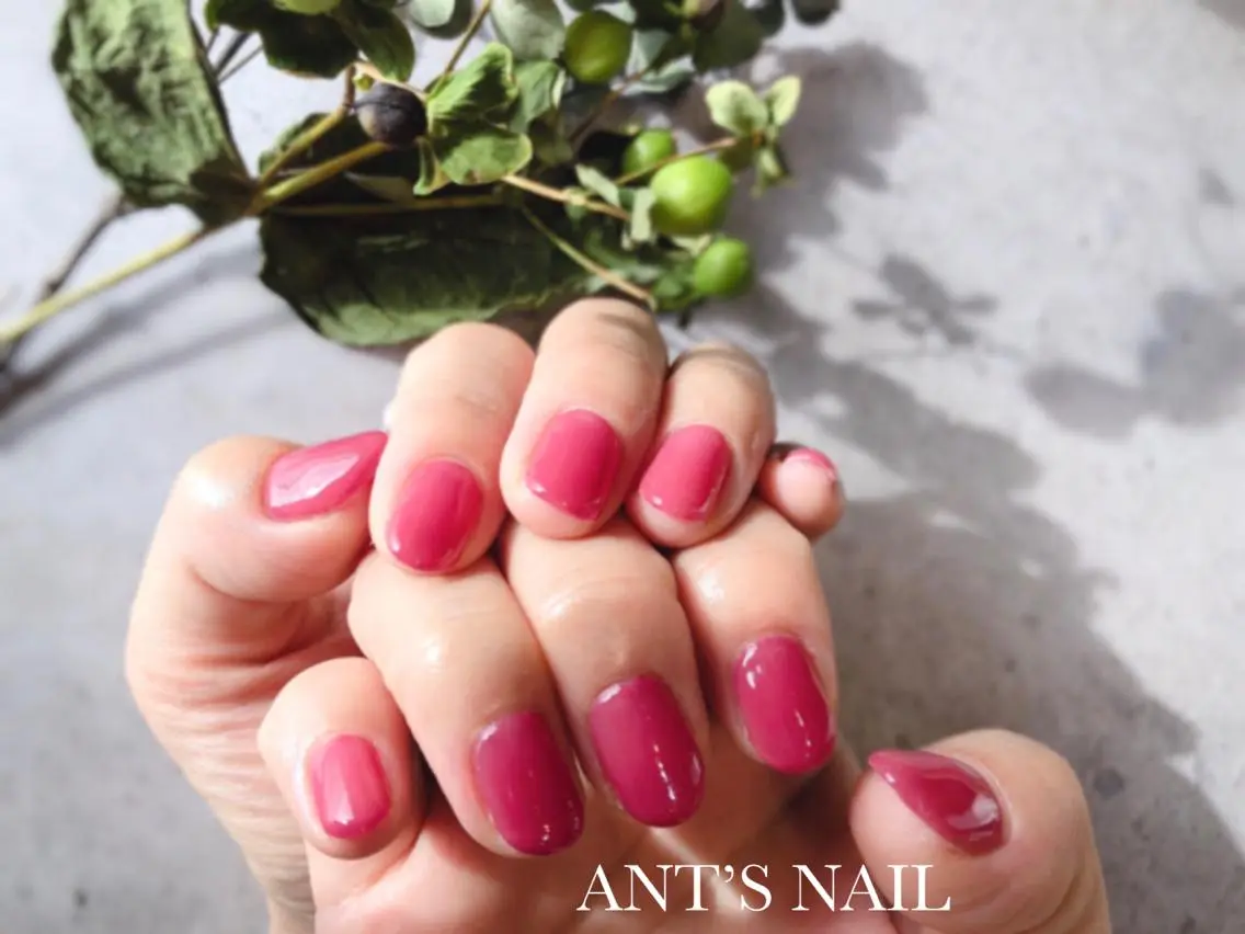 ネイル ワンカラーネイル ハンドネイル ANT'S NAILのネイルデザイン