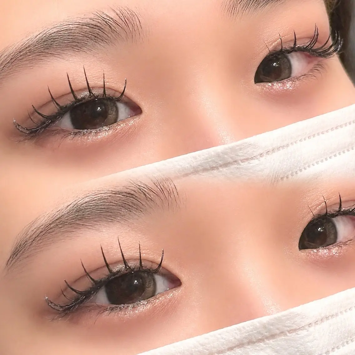 マツエク・マツパ FOXYLASH Hoichiの眉毛・アイブロウイメージ