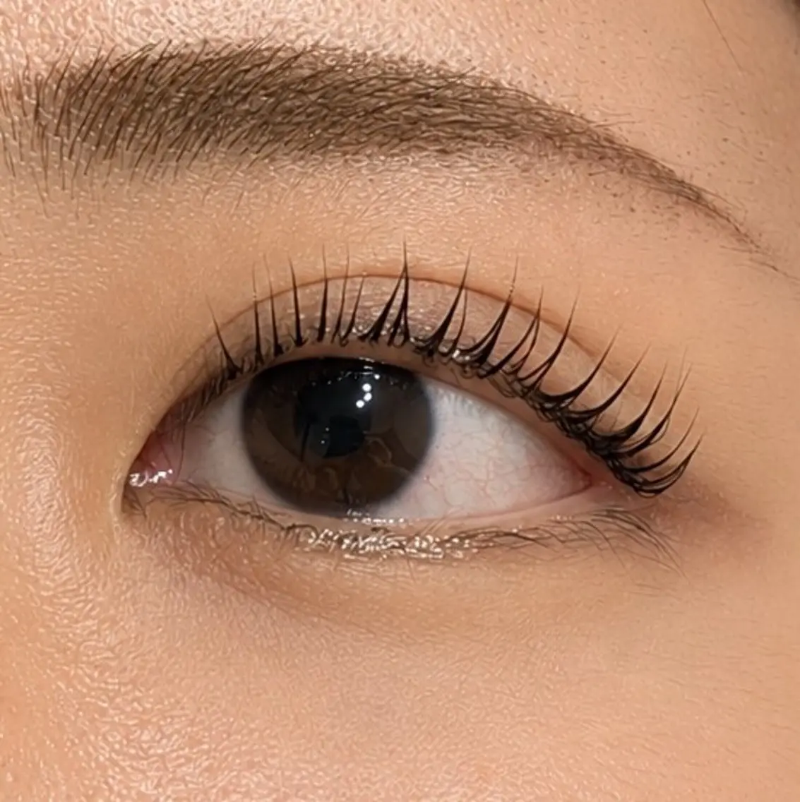 マツエク・マツパ 束感まつ毛 ナチュラル Socheri eyelashのマツエク・マツパデザイン