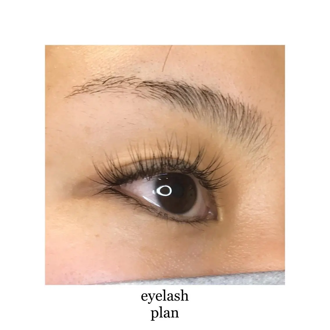 マツエク・マツパ 《eyelash ｉｉｔｅ》森のマツエク・マツパデザイン