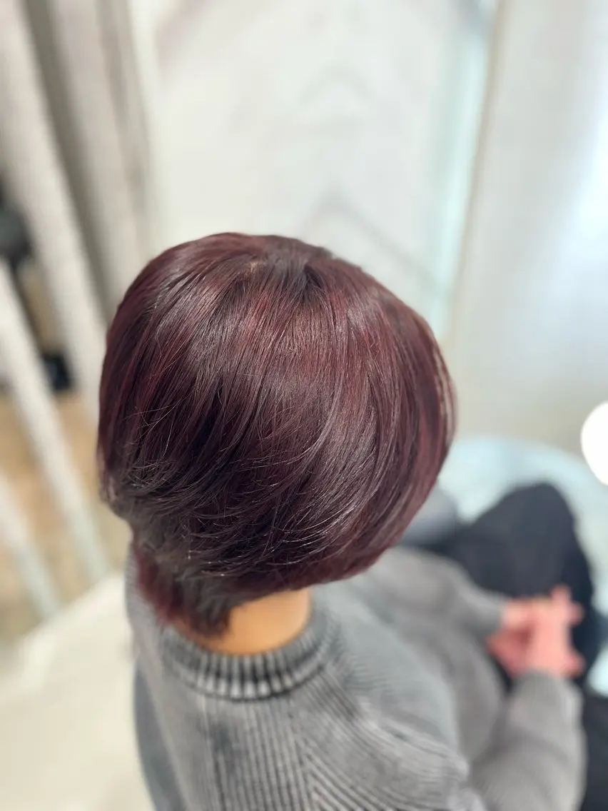 カラー メンズ メンズブリーチ ブリーチ ブラウンカラー ブリーチなしカラー レッドカラー ヘアカラー Haru /暖色🍷 /ボルドー/韓国ヘアのヘアスタイル