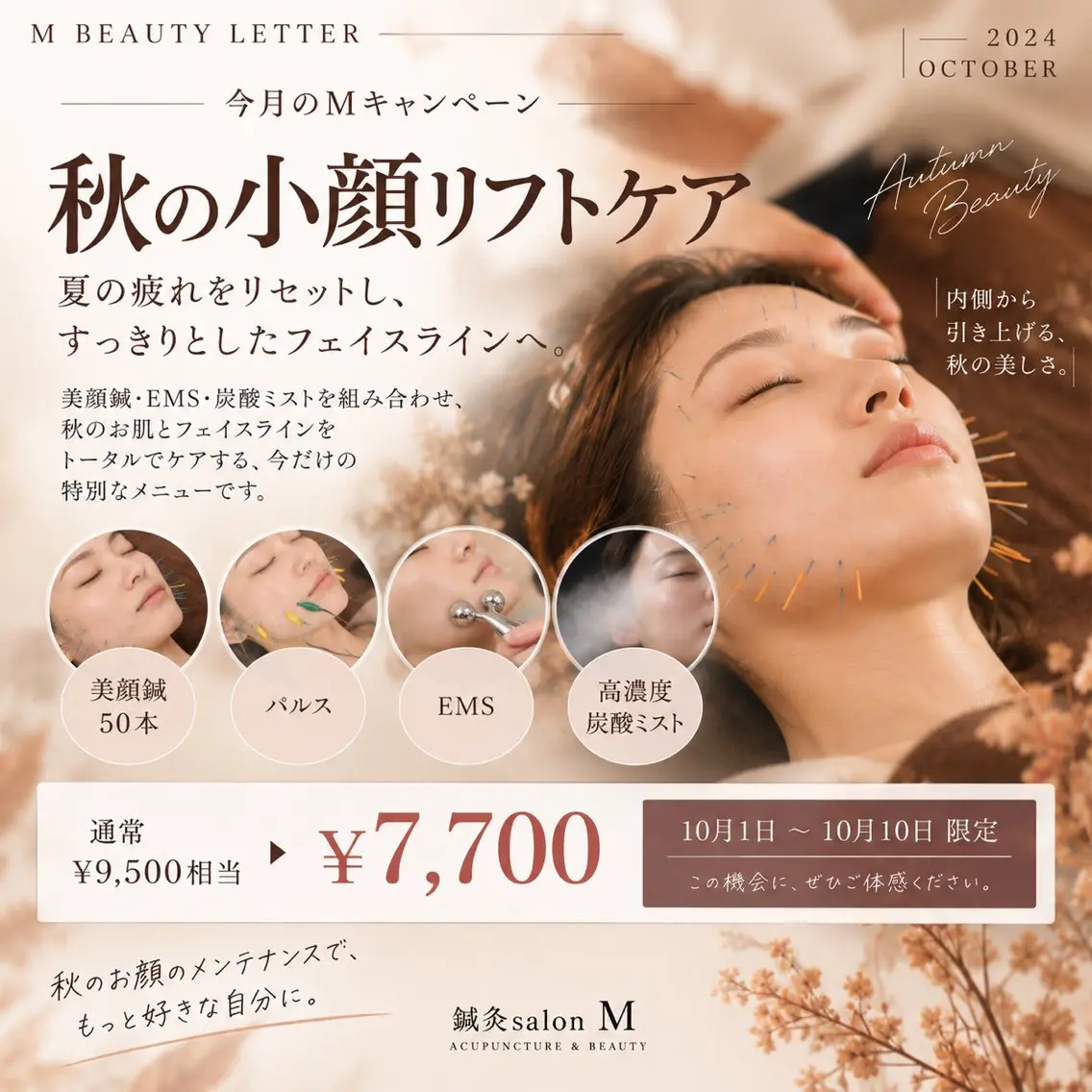 【10/1〜10限定】美顔鍼50本×EMS✨小顔ケア|Mキャンペーン¥7,700の写真