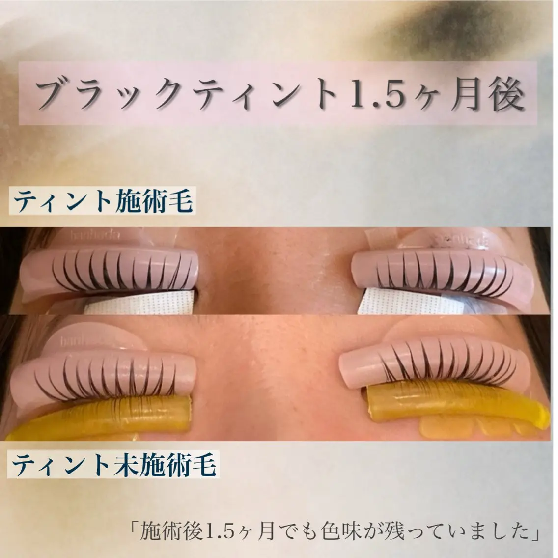 マツエク・マツパ ケラチンラッシュリフト 束感パリジェンヌ上下 恵比寿ayakaのマツエク・マツパデザイン