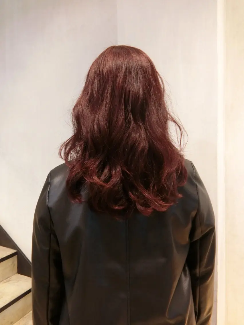 セミロング カラー ボルドーカラー iroha/ レイヤーカットモデルのヘアスタイル