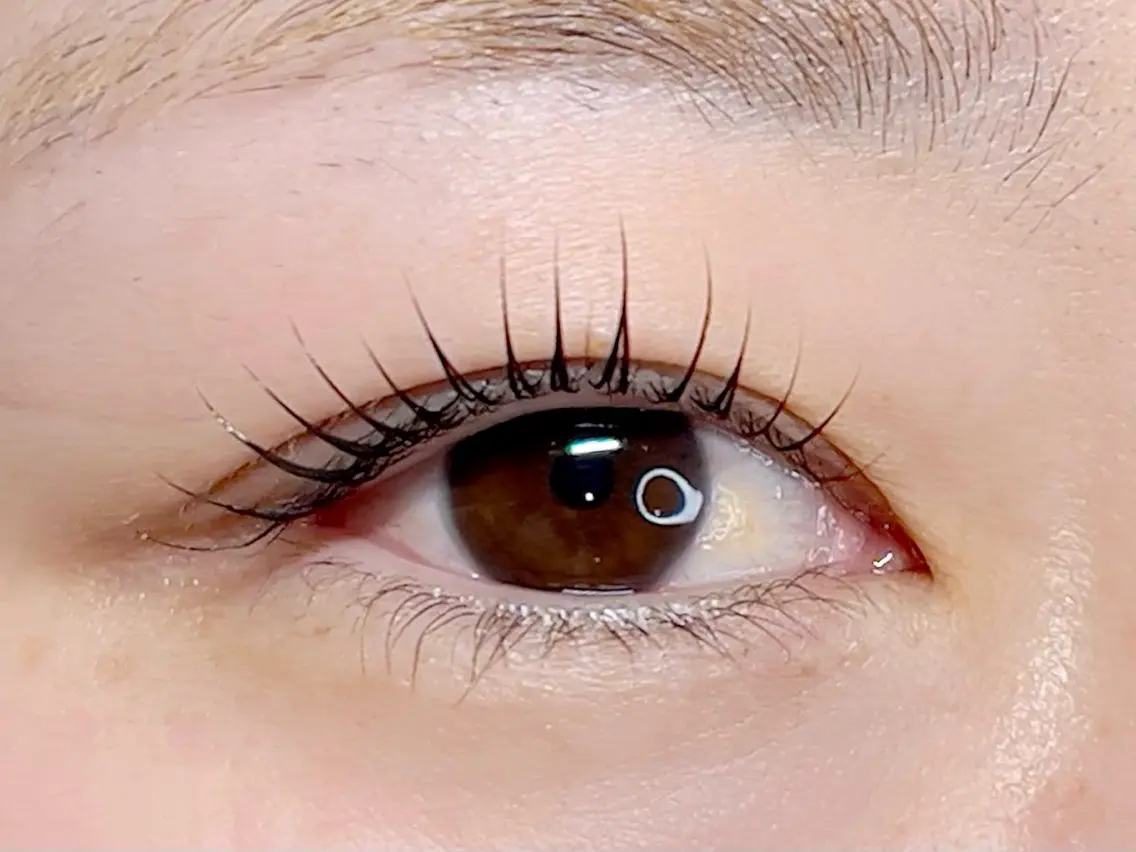 🌼コンペ対策練習モデル🌼eyelash全国大会まつ毛パーマ部門ファイナリストによる施術の写真