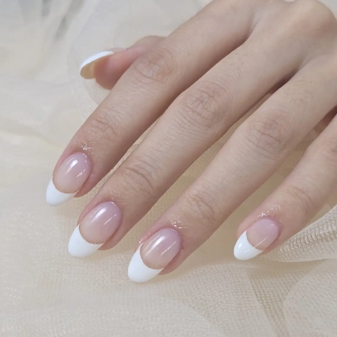 ネイルモデル 白フレンチ オフなしの写真