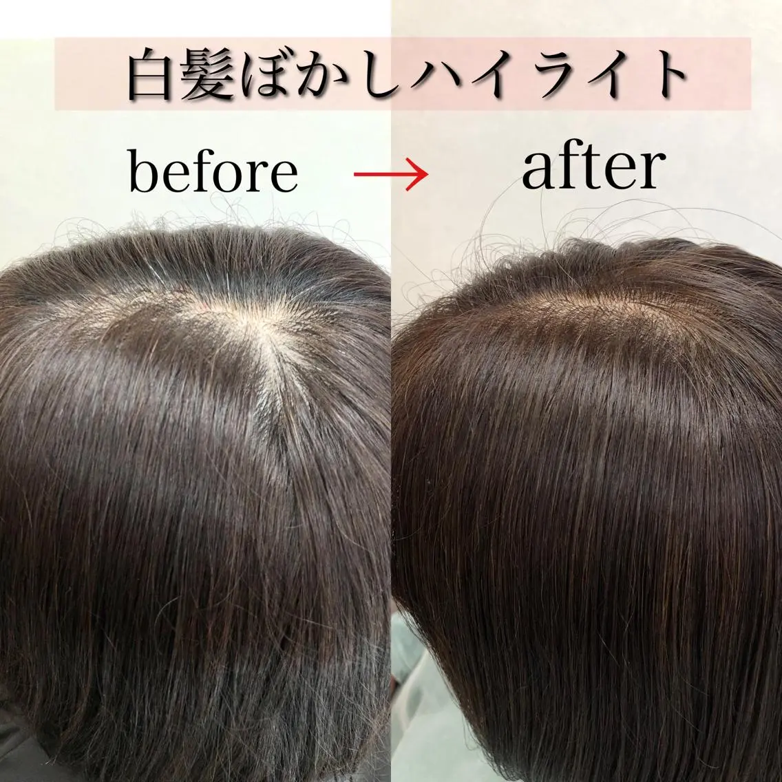 ショート カラー ハイライトカラー ハイライト ヘアカラー ショート/白髪ぼかし 君和田若菜のヘアスタイル