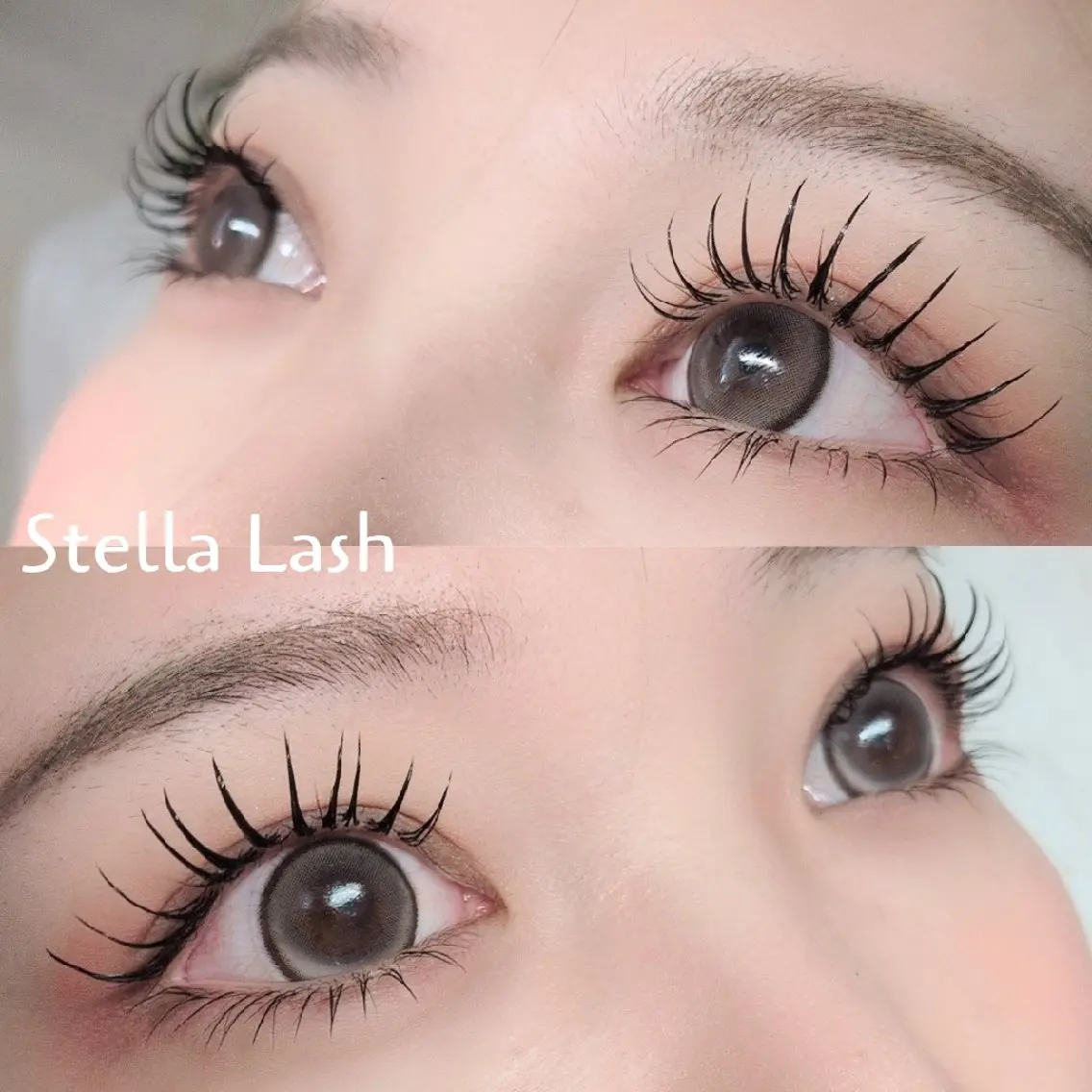 マツエク・マツパ 下まつげエクステ マツエク Stella  Lashのマツエク・マツパデザイン