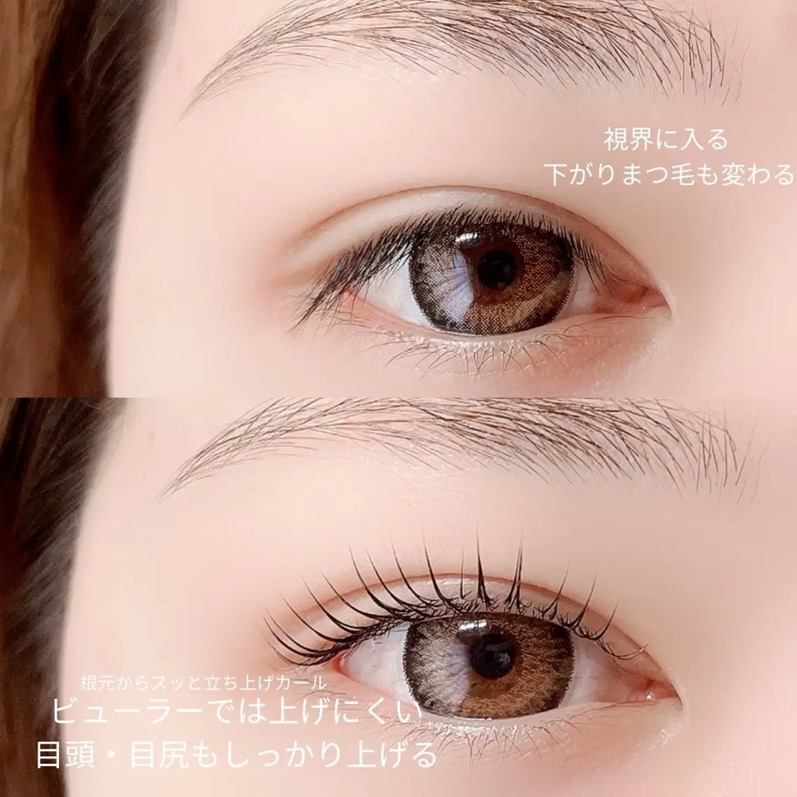 【土日祝限定】まつ毛カール上¥5,500 /上下 ¥7,000の写真