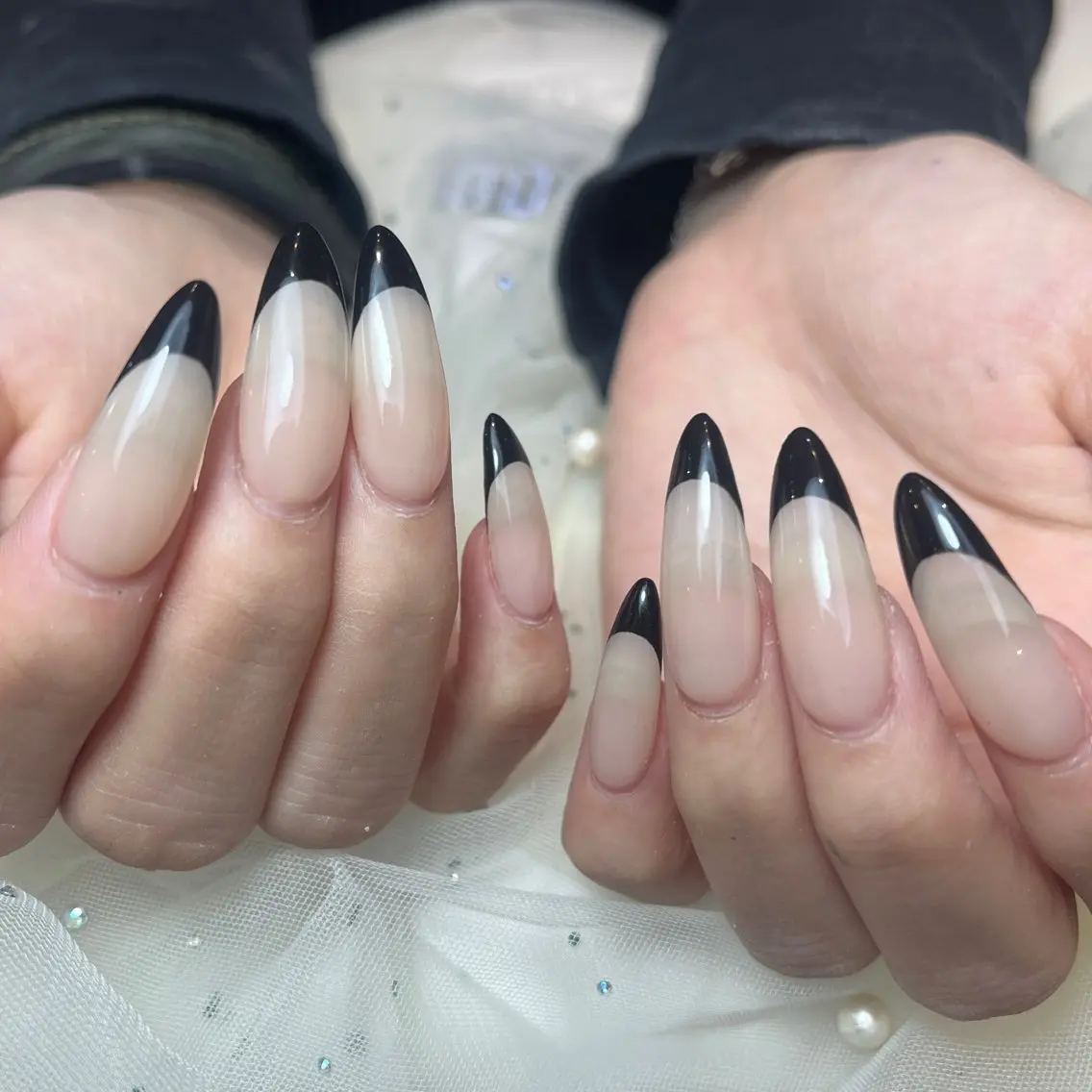 フレンチの写真