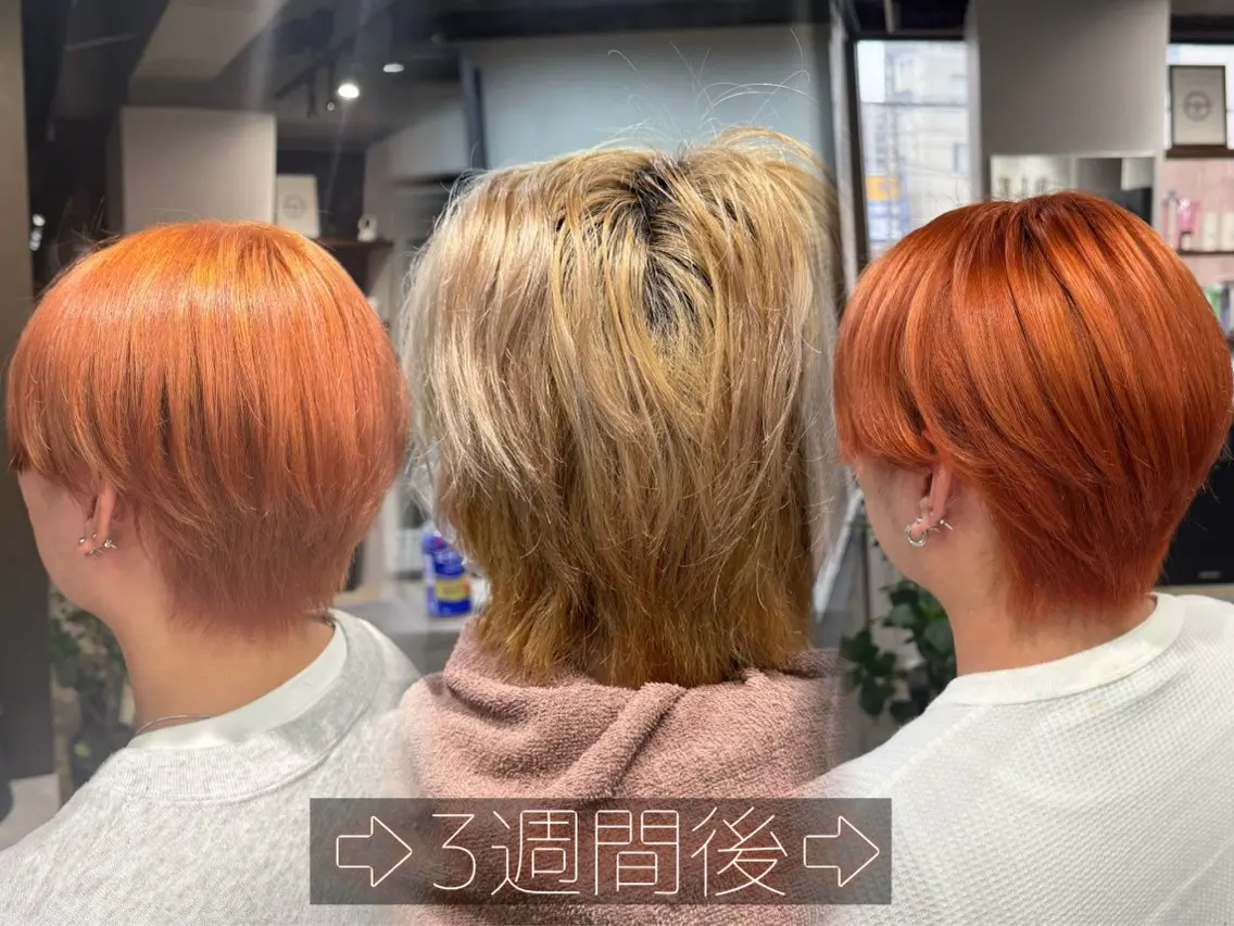 カラー ヘアカラー ルシ🎨/ハイトーン デザイン/髪質改善のヘアスタイル