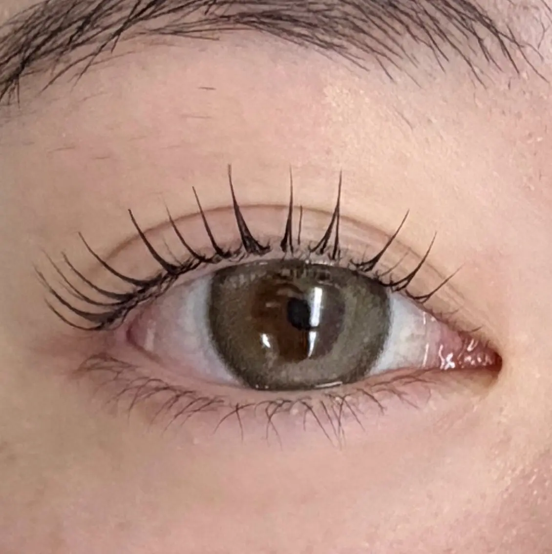 当日割引💫 Lash lift🫧 ¥7,700→¥3,000 ※写真撮影必須の写真