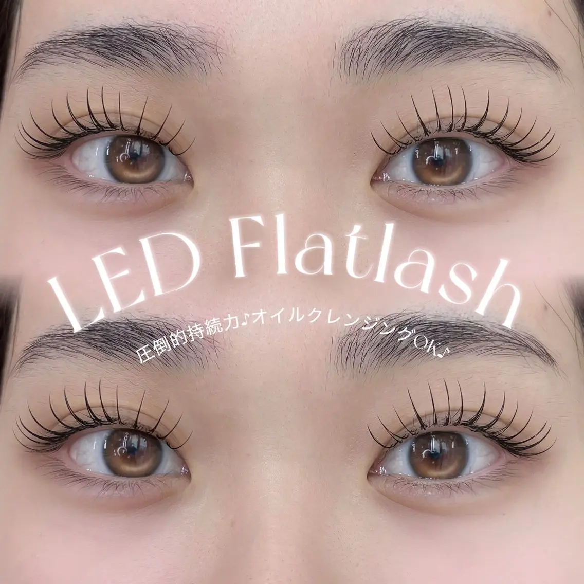 【オフ込】💡LEDフラットラッシュ💡100本¥6000 / 120本¥6500 minimo限定🫧コーティング込の写真