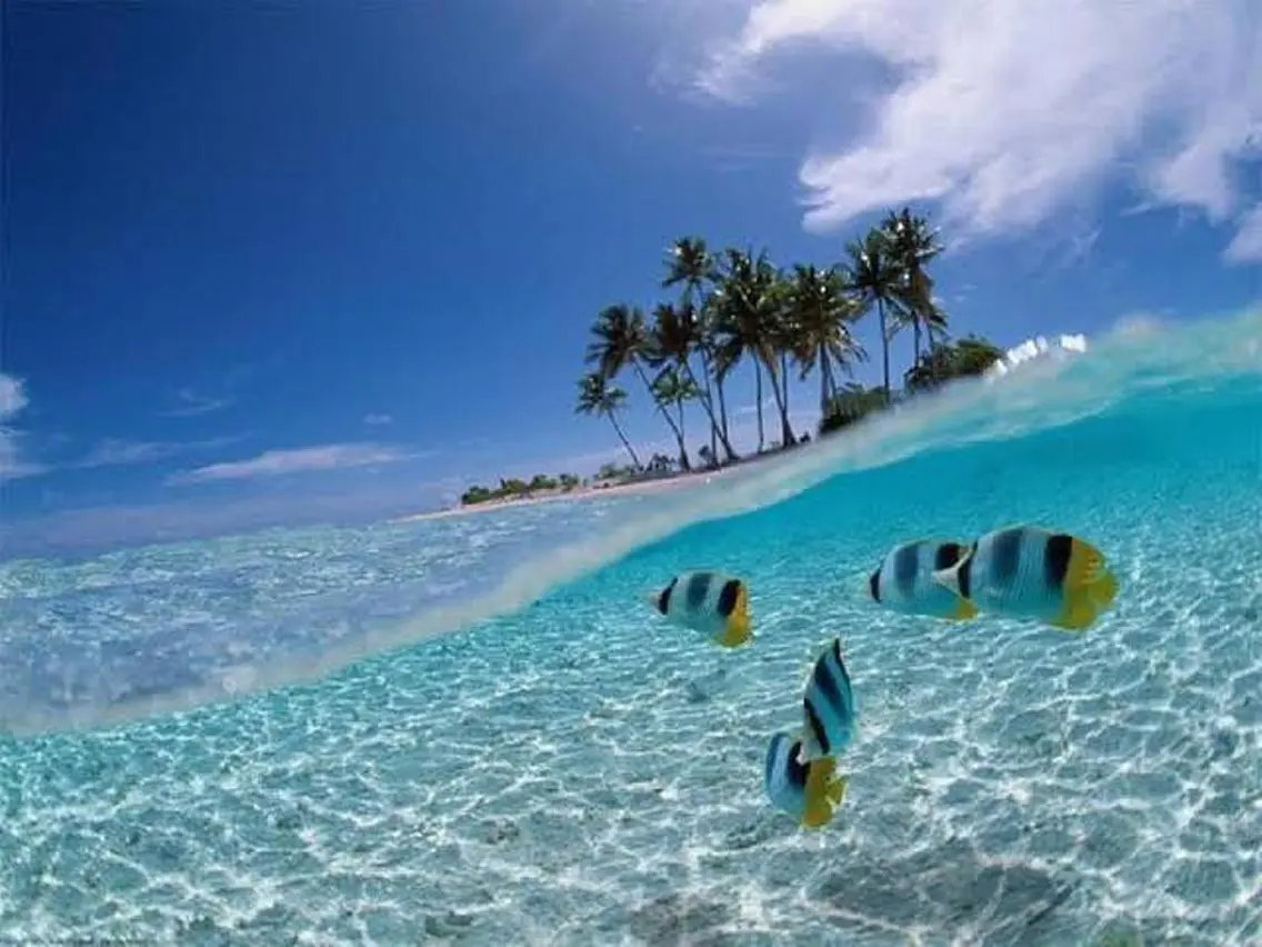 𝐘𝐎𝐒𝐇𝐈 𝐌𝐈🌞🏝のマツエク・マツパデザイン