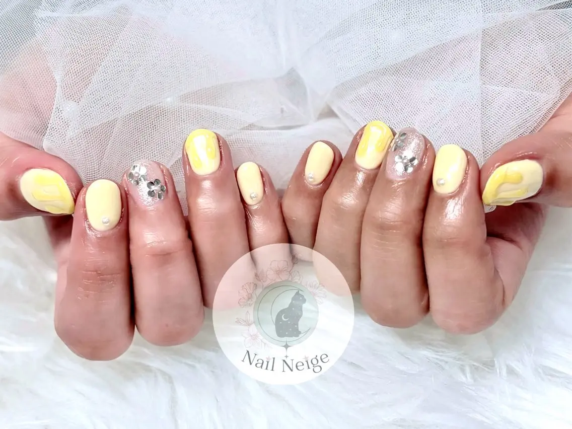 ネイル ジェルネイル 韓国ネイル マグネットネイル 持ち込み ニュアンスネイル Nail Neige🐈🌙のネイルデザイン