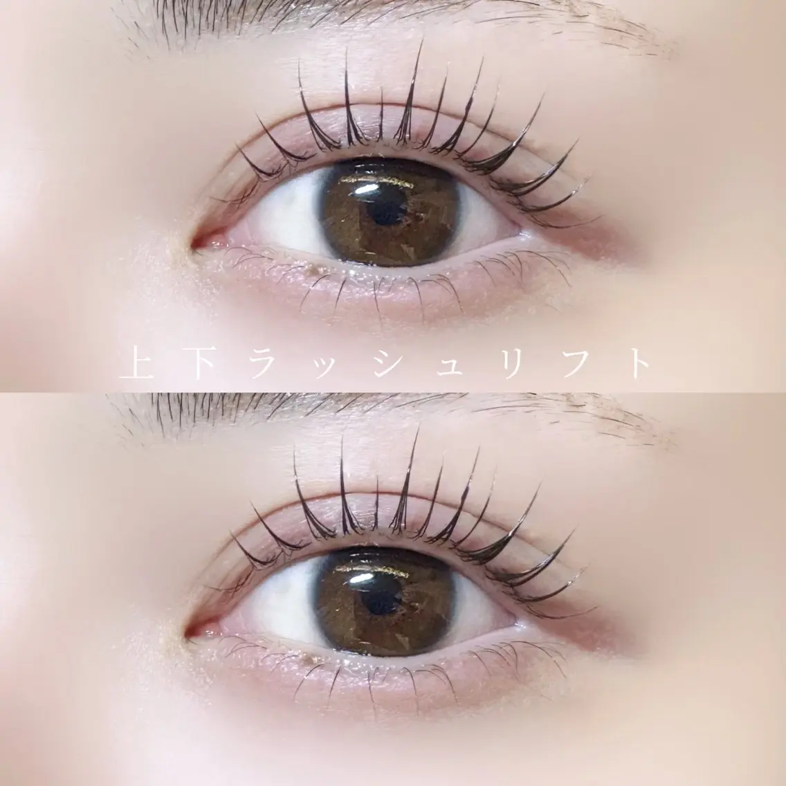 マツエク・マツパ マツパ 🍒束感まつ毛ෆ sasara🍒のマツエク・マツパデザイン