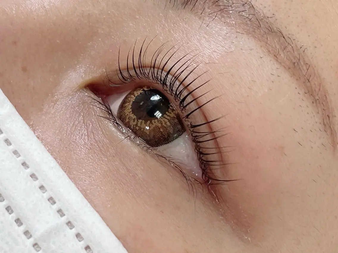 💗本日限定💗似合わせlash lift🐰パリジェンヌラッシュリフト可の写真
