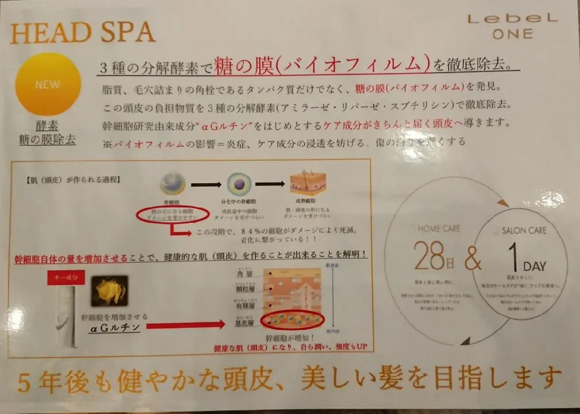 カット ヘアカラー ヘッドスパ 清水 旭美のヘアスタイル