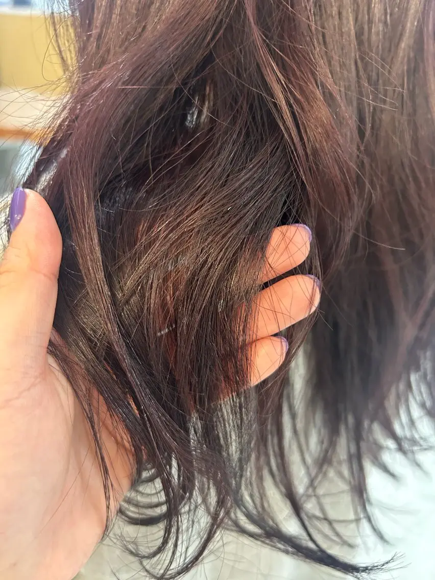 カラー カシス ラベンダーカラー 廣瀧 夢乃のヘアスタイル