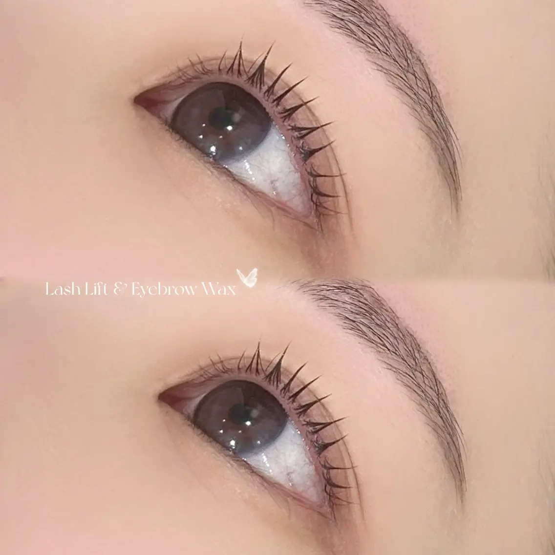 【セットがお得🧤✨】まつ毛パーマ+美眉WAXセットメニュー👀🩵の写真