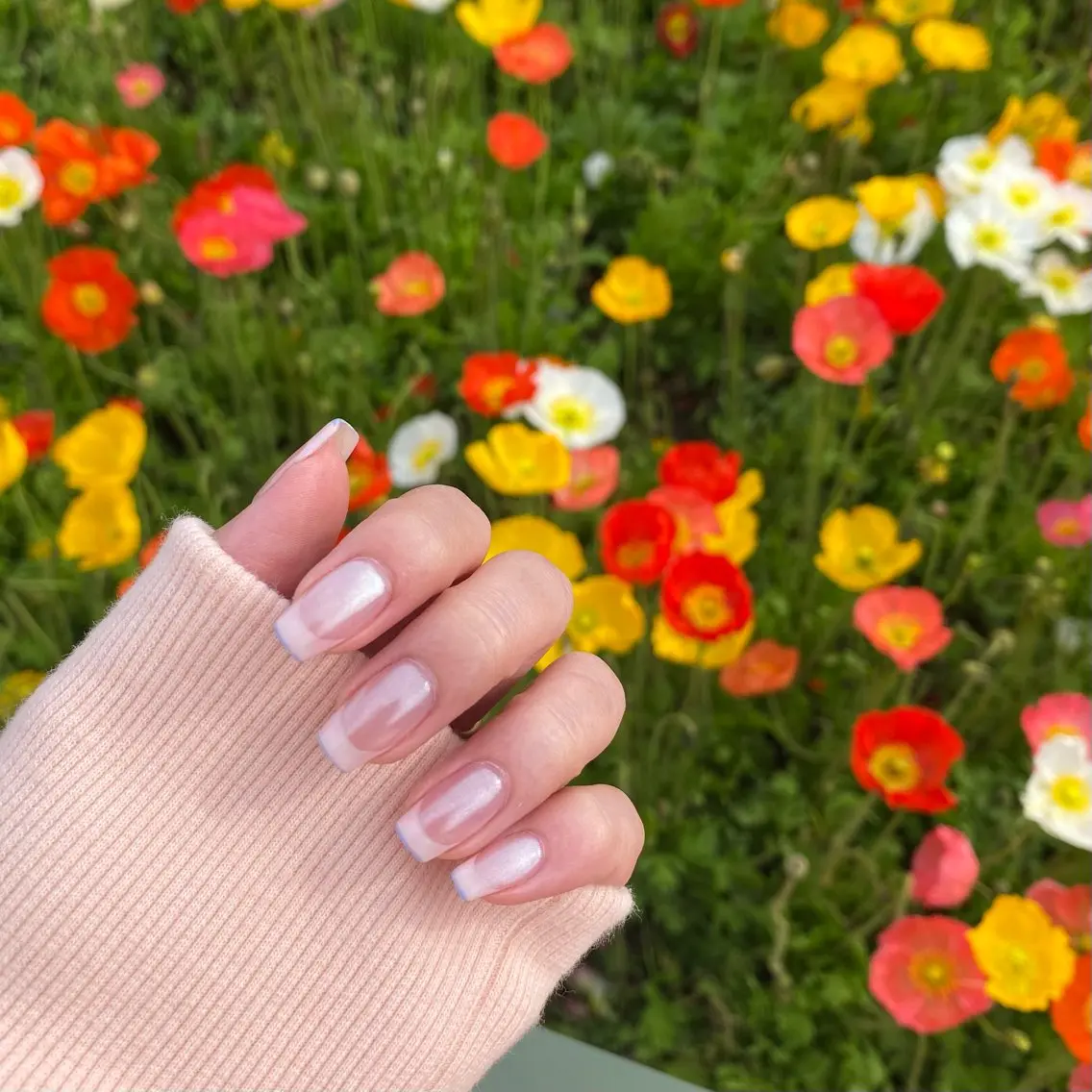 【オフ込み】フレンチ / グラデーションの写真