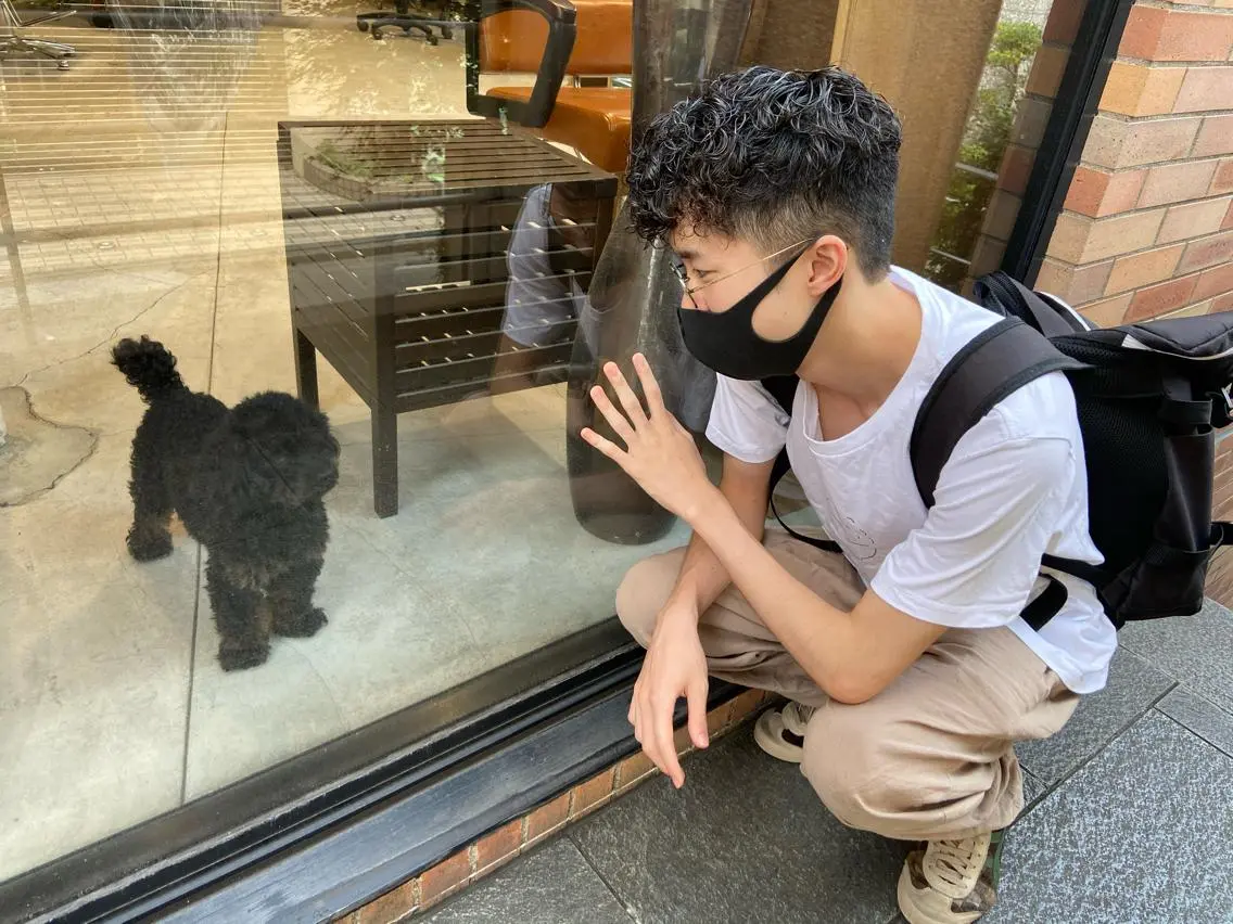ショート カラー パーマ ヘアアレンジ メンズ メンズパーマ 刈り上げ カット パーマ ちこ .のヘアスタイル