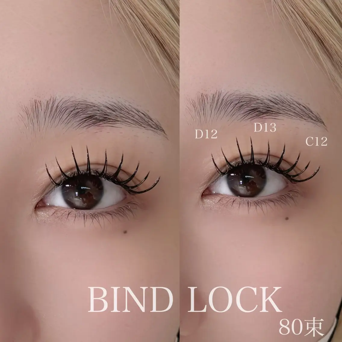 バインドロックモデル【100束】※オフなしの写真