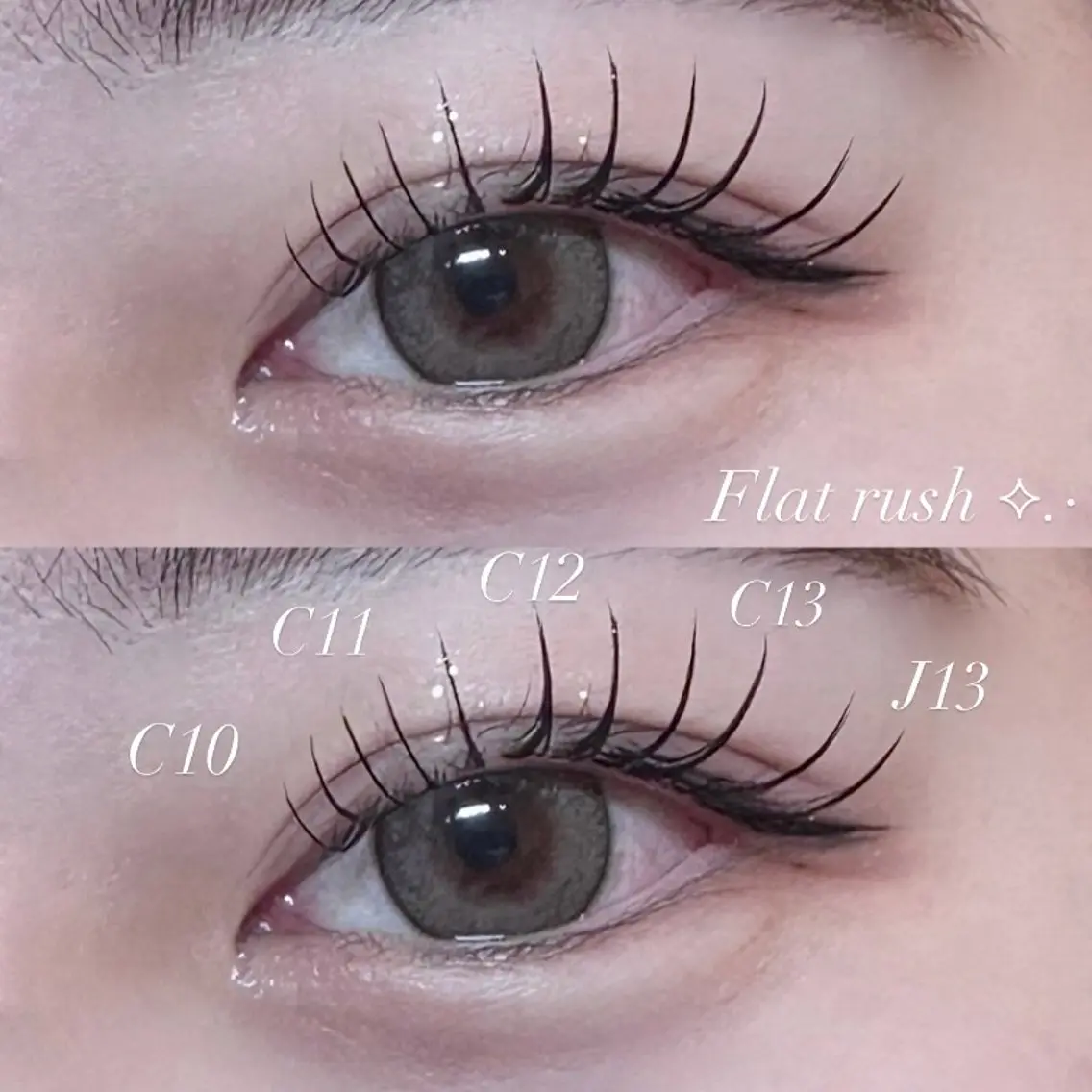 ⊹ ⋆゚꒰ఎ フラット 100本 ໒꒱ ⋆゚⊹の写真