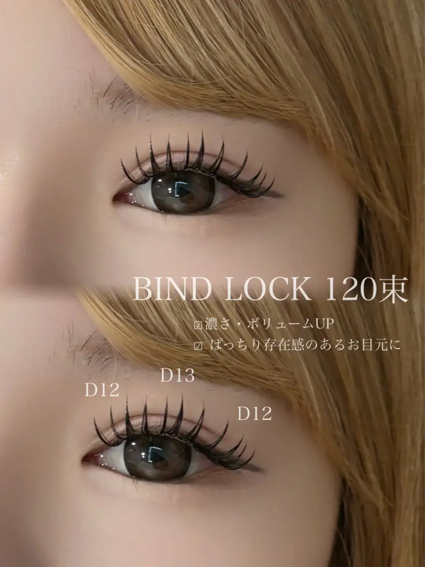 バインドロックモデル【120束】※オフありの写真