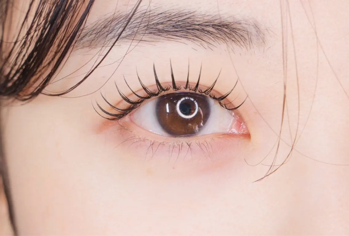 【マツエク🍀100本】練習モデル募集中💖(オフなし)の写真