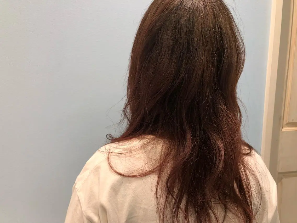ロング カラー ブリーチ グラデーションカラー レッドカラー ローズカラー うる艶カラー 🫶🏼💭mikaのヘアスタイル