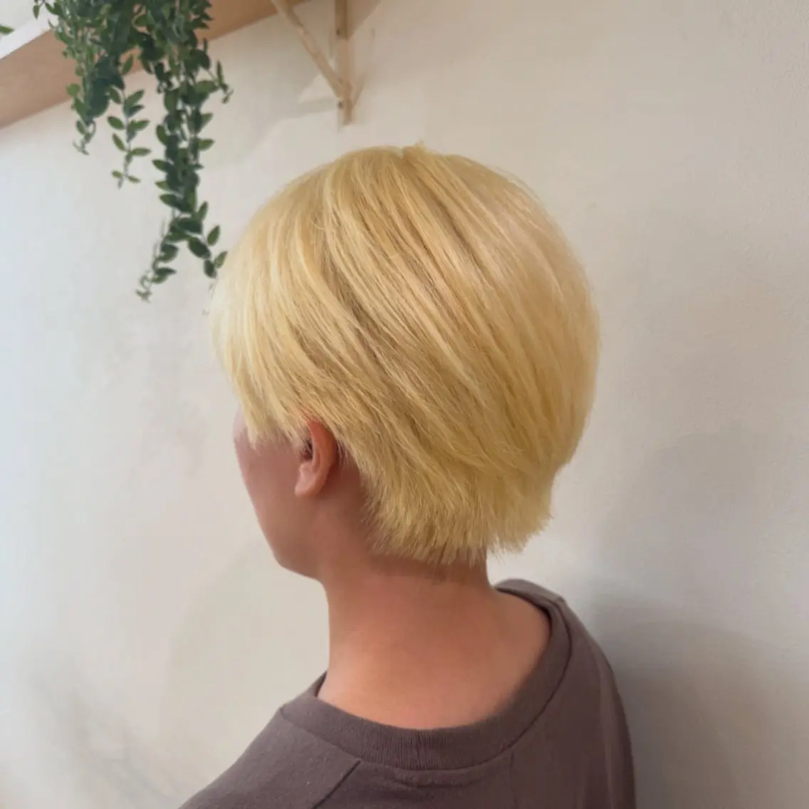 ショート カラー ブリーチ ブロンド ヘアカラー シン🦊カット/ 艶カラー/ブリーチのヘアスタイル