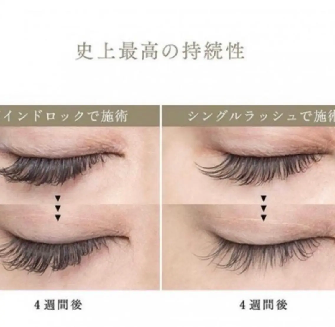Wフラットバインドロック80束🧡の写真