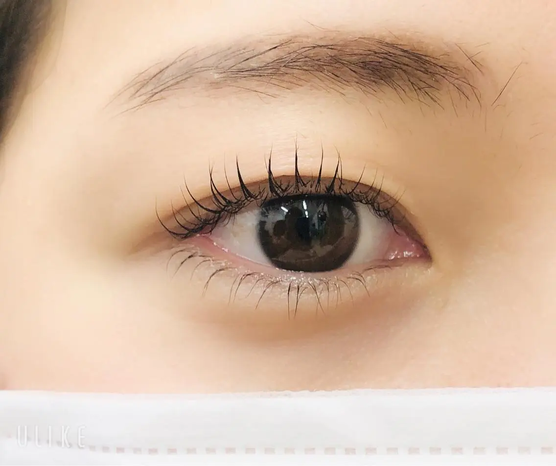【ミニモ限定🌹】まつげパーマ・ラッシュリフト/上下🫧の写真