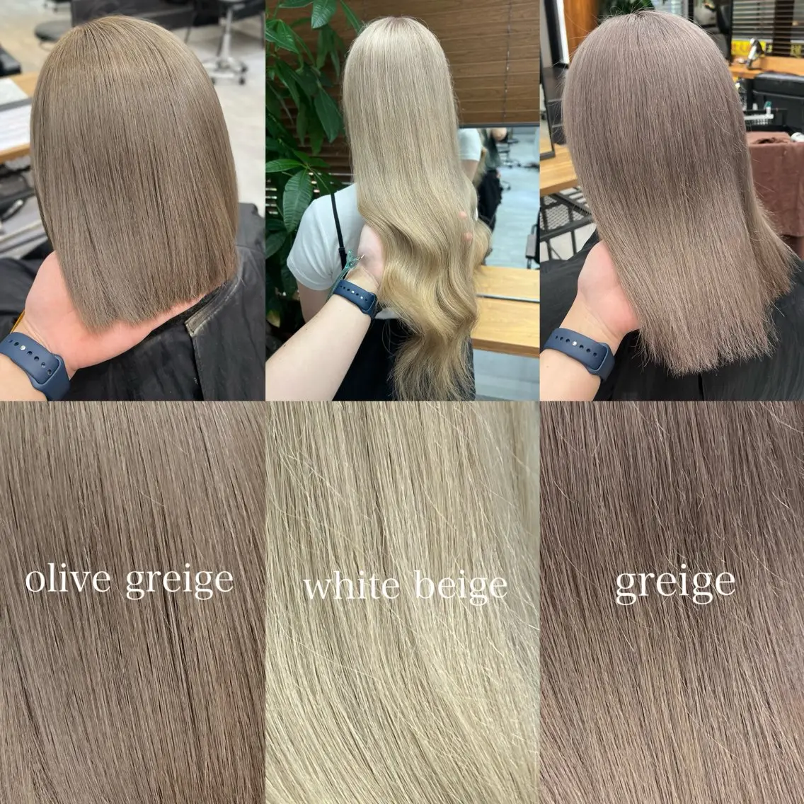 ミディアム カラー ショート/ウルフ カットモデル募集のヘアスタイル