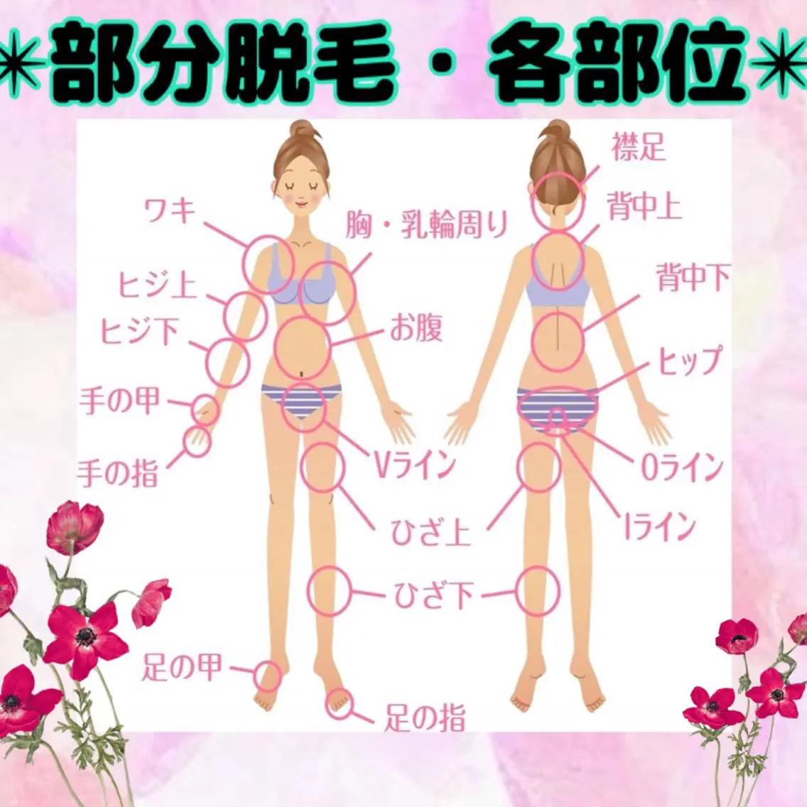 レディースどこでも✴︎1箇所脱毛✴︎の写真