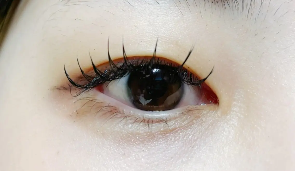 フラットラッシュ100本の写真