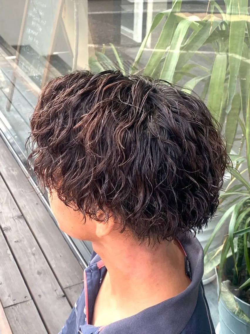 ミディアム カラー パーマ メンズ マッシュ カット パーマ 谷口 悠生のヘアスタイル