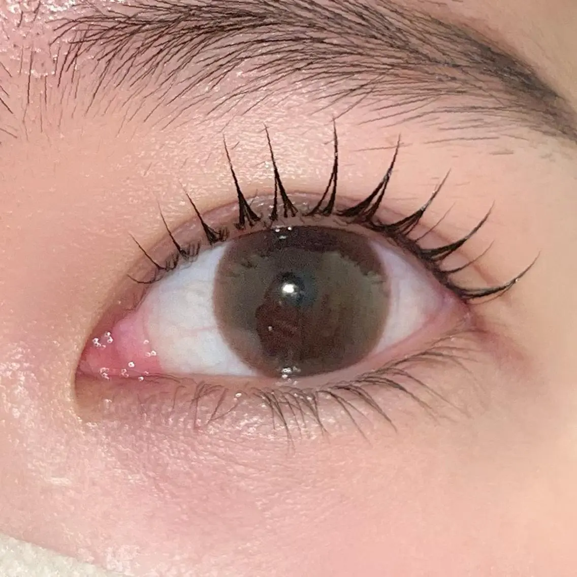 🎀personal lash lift🎀束感コーティング仕上げ🫧8,800→3,000※SNS掲載写真撮影必須の写真