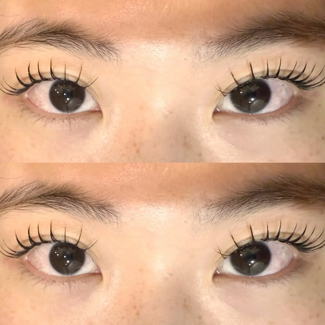人気No.2💜【カシミヤフラットラッシュ】100本、美容液コーティング付き👀♪+1100円で20本ずつ追加できます♪の写真