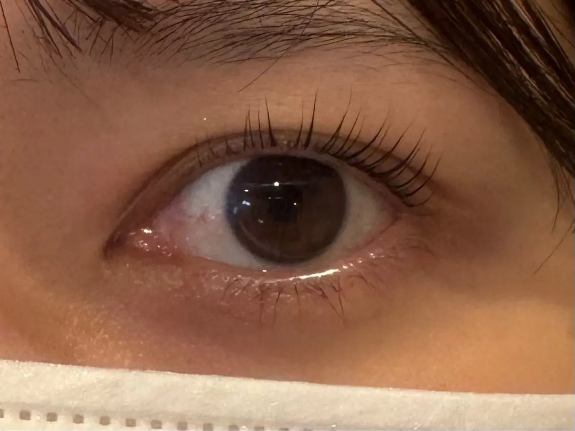 人気No.1✨《選べる》ラッシュリフトorパリジェンヌラッシュリフト ￥5900の写真