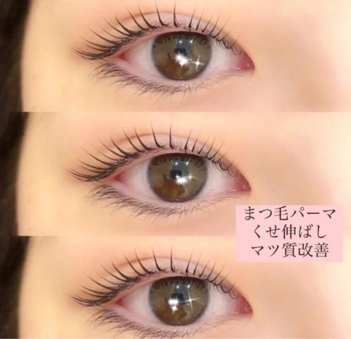 【ご新規様限定クーポン】まつ毛パーマ🦋(コーティング付き)の写真